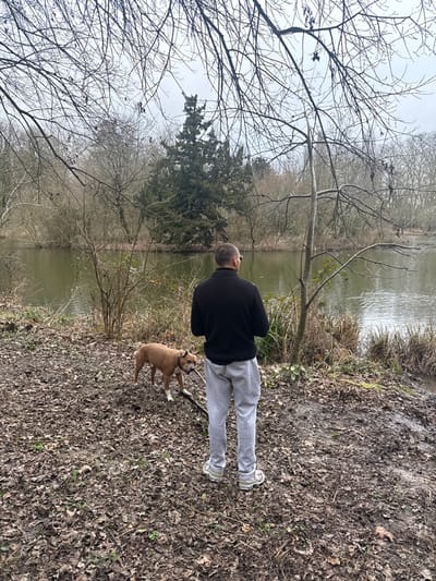 A bald man in a black sweater and gray sweatpants stands by a lake with his dog. The dog, a brown pit bull mix, holds a stick in its mouth. The ground is covered with fallen leaves. Bare trees are behind the man and dog, while a pine tree is visible to the left. The lake is calm, reflecting the overcast sky.