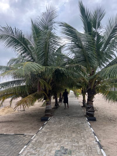A paved walkway lined with palm trees leads toward the horizon under a cloudy sky. A single person, wearing dark shorts and a dark t-shirt, walks away from the camera down the path. The walkway is flanked by sand on either side, with a pile of sand visible on the left. The palm trees are tied with white rope at their bases. The scene is outdoors, consistent with a tropical environment.