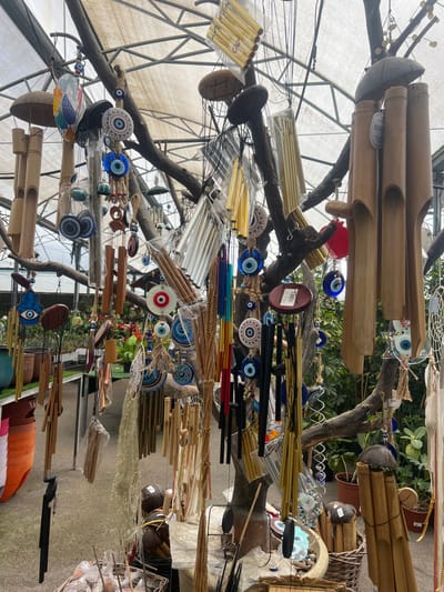 The image depicts a display of wind chimes and decorative items hanging from tree branches, likely inside a greenhouse structure. The setting appears to be a retail or market environment.
**Objects and Subjects:**
* Various types of wind chimes made from materials like bamboo, metal, and coconut shells.
* Decorative glass or ceramic ornaments, many featuring the "evil eye" motif.
* Tree branches, used as a display rack.
* The greenhouse structure's framework with a translucent covering.
**Environment:**
* The location is possibly a market or store in Zvulun Regional Council, Israel.
* The presence of the greenhouse structure suggests an agricultural or horticultural context, possibly a plant nursery or garden center.
* The lighting is diffused, due to the greenhouse covering.
* The background includes foliage, suggesting an outdoor or garden setting.
