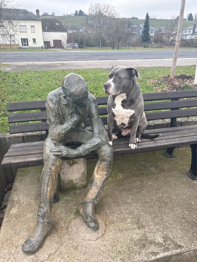 An outdoor scene in Bech-Kleinmacher, Luxembourg, displays a gray and white American Bully-type dog seated upright on the right side of a dark wooden park bench, facing left and appearing to look towards a dark bronze statue. The statue, depicting a man in a contemplative pose with his head bowed and chin resting on his right hand, occupies the left side of the same bench. The bench is situated on a concrete slab, bordered by a strip of green grass. In the mid-ground, a paved two-lane road traverses horizontally. Across the road, several buildings are visible, including a prominent light-colored two-story house with a dark roof. The background features gently rolling hills covered with bare deciduous trees and what appears to be dormant vineyards. The sky is uniformly overcast.