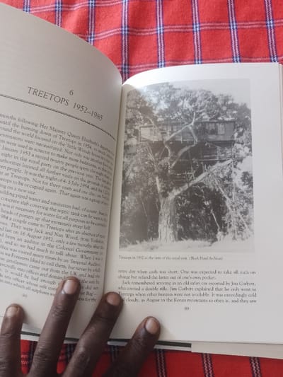 The image shows a black and white photograph of a treehouse built in a tree in the forest. The treehouse is built on two levels, with a balcony on the upper level. The treehouse appears to be made of wood and has a thatched roof. The surrounding area is dense with foliage, and the photograph is likely taken from a distance, showing the treehouse from a low angle. The caption below the photograph states, "Treetops in 1952 in the time of the royal visit. (Black Hotel Archives)." The image is located in the city of Ganja, Azerbaijan at coordinates 40.688, 46.388.