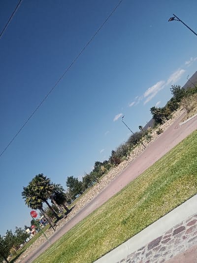 The image displays an outdoor scene in La Venta, Mexico, under a clear blue sky with minimal scattered white clouds. The perspective is an upward diagonal view. A paved road, reddish-brown in color, traverses the midground from the lower right toward the upper left. To the immediate right of the road, a strip of green grass is bordered by a concrete curb, which in turn abuts a decorative stone-paved area in the extreme bottom-right foreground. To the left of the road, a landscaped median contains several palm trees and smaller deciduous trees, with ground cover consisting of light-colored gravel. A red octagonal "ALTO" (STOP) sign on a metal pole is visible among the trees on the left side. Multiple dark-colored streetlights are positioned along the right side of the road and in the background, with one prominent in the far upper right. A thin power line or cable stretches diagonally across the upper left quadrant of the sky. Distant hills or mountains are discernible on the horizon toward the right. No people, animals, or vehicles are present in the scene.