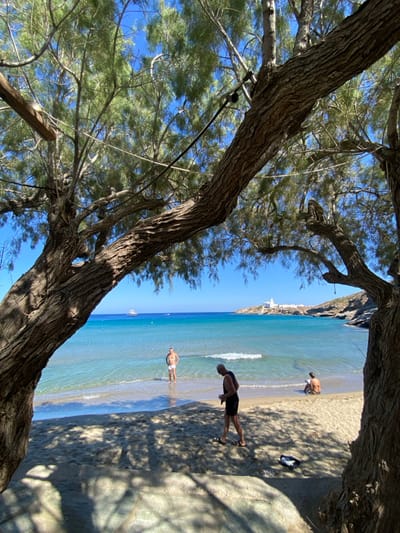 This image depicts a sunny coastal scene on a sandy beach in Faros, Greece, likely within the village of Faros on the island of Sifnos, given the visible landmarks. The scene is framed by the dark, textured trunks and green foliage of two large trees in the immediate foreground, casting dappled shadows on the light-colored sand. Overhead, cables or ropes are strung horizontally between the tree branches.
The beach transitions into clear, calm turquoise water that extends towards a darker blue horizon under a bright, cloudless sky. Three adult males are present on or near the beach. In the mid-ground, a man with light skin, wearing white swim trunks, stands in the shallow water, facing slightly right, with water reaching approximately to his knees. Closer to the foreground on the sandy beach, a second man with dark hair, wearing dark shorts and a dark sleeveless top, is walking from left to right. A pair of black sandals or flip-flops lies on the sand near his path. Further down the beach to the right, a third individual is seated directly on the sand, leaning back against an unseen support, appearing to be reading a book or similar item.
In the mid-distance on the water to the left, a white boat, possibly a yacht, is visible. To the right, across the bay, a rocky headland extends into the sea, topped by a prominent white building complex, which includes a distinct white church with a dome, consistent with Panagia Chrysopigi. The overall environment is illuminated by bright daylight.