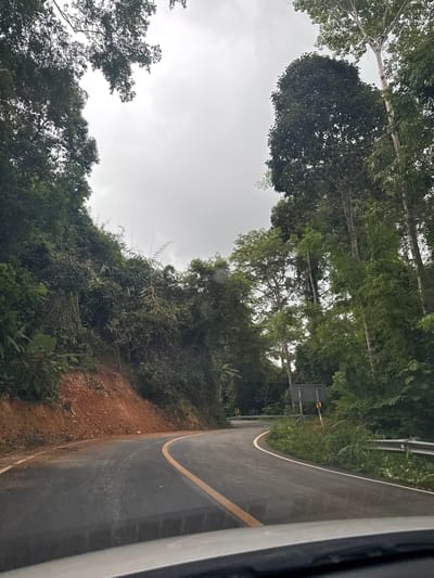 The media file depicts a view from inside a vehicle looking out at a road curving through a lush, green, forested area. The road itself is paved with a dark asphalt surface, marked with a white line along its edge and a yellow line in the center, indicating a division of lanes. The road appears to be on a slight incline, with a retaining wall or guardrail visible on the left side, bordering a steep embankment covered in dense vegetation.
The vegetation is a dominant feature of the scene, consisting of a variety of trees and foliage, with many tall, slender trees reaching towards a pale, overcast sky. The leaves are a vibrant green, suggesting a tropical or subtropical climate. The overall impression is one of being in a natural, undeveloped area, possibly a rural or mountainous region.
The weather appears to be cloudy or overcast, as the sky is uniformly bright white with no distinct sun visible. The lighting is soft and diffused, typical of a cloudy day. There is no clear indication of the time of day, but the lighting suggests it could be morning or afternoon.
No people are visible in the image, and the only discernible objects are the road, guardrail, and foliage. The scene evokes a sense of peaceful travel through a natural landscape. There is no visible text in the media file. The location context of Ban Pak Ra, Thailand, reinforces the impression of a tropical, forested environment.
