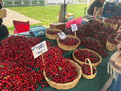 At an outdoor market in Tekirdağ, Turkey, a vendor is selling cherries. The cherries are piled high on a table covered with a dark green cloth. Several woven baskets overflow with cherries, and a few loose cherries are scattered on the table. A sign in the foreground indicates that the cherries are from Şarköy and cost 300 TL. Another sign, partially visible, shows a price of 1.50 TL. A blue scale sits on the table, and behind it, a red folding chair is visible. In the background, a man wearing a black t-shirt is attending to the market stall. He is leaning over the table, and several plastic crates are stacked behind him. The ground is covered with gravel and grass, and a white metal fence is in the distance. The overall impression is of a bustling market scene on a bright, possibly overcast, day.