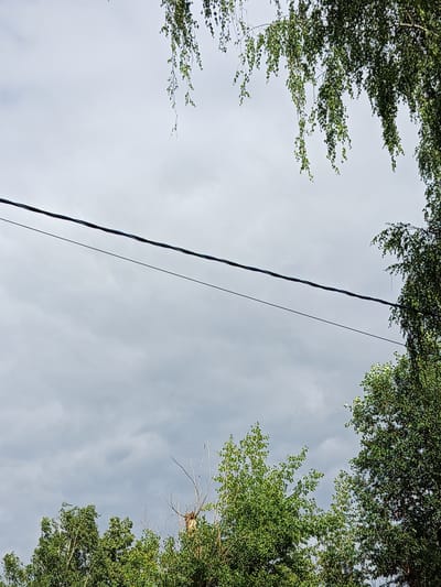 The image shows a view of the sky with clouds and trees, as well as power lines stretching across the frame. The scene appears to be outdoors, possibly in a park or residential area, given the presence of trees. The sky is overcast, suggesting cloudy weather. The power lines are dark and appear to be strung between poles, though the poles themselves are not visible. The trees are green and leafy, indicating a season like spring or summer. The image does not contain any people, actions, or interactions. The location in Oktyabrskiy, Russia, is not visually discernible from the image content.
