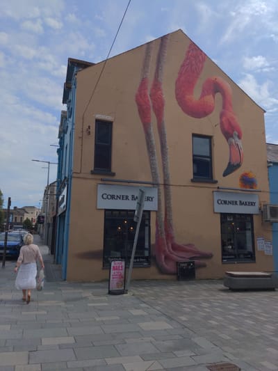 The image depicts a street scene in Ballymena, United Kingdom, on a cloudy day. The main subject is a building with a large mural of a pink flamingo painted on its side. The flamingo is depicted in a stylized manner, with its long neck and legs extending across the building's facade. The building also has several windows and signage, including "CORNER BAKERY" displayed on two separate signs, one above and one below a window. Another sign, advertising "NAILS & SPA," is visible on the sidewalk.
In the foreground, a woman with blonde hair, wearing a light-colored cardigan and a white skirt, is walking away from the camera, carrying a shopping bag. She appears to be walking on a paved sidewalk made of grey tiles. The street also shows parked cars, including a blue vehicle, and other buildings lining the street, suggesting an urban or town setting. The sky is partly cloudy, indicating daytime. The overall impression is a snapshot of everyday life in a town with some notable street art.