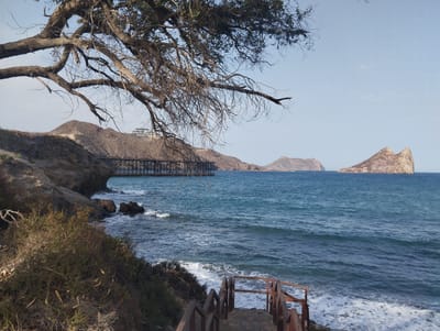 A scenic view captures a coastal landscape in Águilas, Spain, under a clear sky. In the foreground, a large, bare tree branches extend from the left side of the frame, its gnarled limbs creating a natural arch over the scene. Below the tree, a rocky, overgrown embankment slopes down towards the sea, dotted with sparse vegetation and dry branches.
A wooden staircase with weathered railings descends from the right foreground, leading towards the water's edge. Small waves crash gently onto a narrow strip of beach. The turquoise sea stretches out to the horizon, with a few whitecaps visible.
In the mid-ground, a wooden pier structure with a dark roof and visible supports juts out into the water. Beyond the pier, rocky hills and islands rise from the sea. The larger of these islands, on the right side of the frame, has a distinctive, sharp peak. On the far left, hills are visible, with a modern building perched on one of them. The overall impression is one of a tranquil, natural coastal setting.