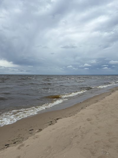 A wide-angle, vertical shot captures an overcast day at a beach. The sky is filled with heavy, grey clouds. The sea, a dark, choppy grey-brown, stretches to the horizon. Small, white-capped waves are breaking on a sandy shore. The beach itself is a pale beige, marked with scattered dark debris and footprints. The scene suggests a cool or blustery day. The location is implied to be Gauja, Latvia, based on the prompt.