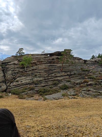 The image captures a natural landscape dominated by stratified rock formations, possibly granite, exhibiting significant erosion and weathering. The rocks are layered horizontally, with visible cracks and indentations, suggesting a long geological history. Several sparse trees, including a birch and pine trees, grow precariously from the rock's crevices, demonstrating their resilience. The foreground is a dry, golden-brown grassy field. In the far distance, a treeline is visible. The sky is overcast with heavy, grey clouds, indicating a potentially humid or stormy weather condition. A portion of a person's dark hair is visible in the lower left corner of the frame, suggesting a human presence at the scene. The scene is likely located in a rural or natural park area. Based on the location provided, this scene is consistent with the geological formations found in the Burabay National Park, which is near the city of Торайғыров, Kazakhstan.