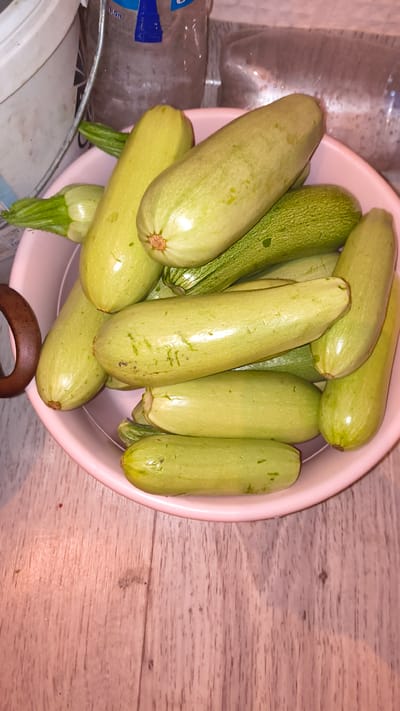 A top-down shot shows a pale pink bowl filled with zucchini on a light brown wooden surface. The bowl contains at least ten zucchini of varying sizes, most appearing to be light green or yellowish-green. The zucchini are arranged in a somewhat haphazard pile within the bowl. Some of the zucchini have a smooth surface, while others have a slightly ribbed texture. The lighting casts soft shadows, obscuring some details of the objects in the background, which appear to be plastic bottles and a white bucket, suggesting an indoor setting, possibly in Glinoye, Moldova.