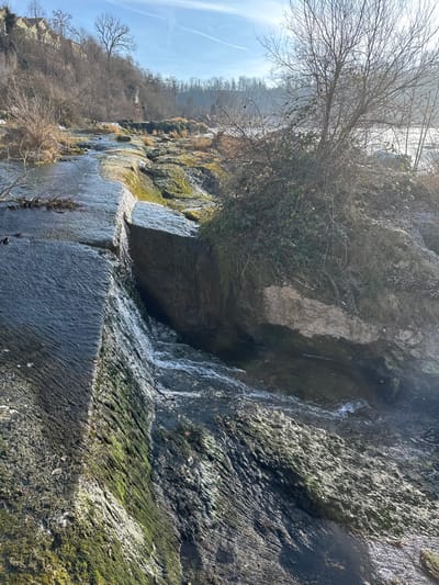 This image depicts a section of a riverbed near Neuhausen am Rheinfall, Switzerland, on a clear, bright day. In the immediate foreground, a dark, rectangular stone structure, partially covered in green moss, functions as a channel for flowing water. This water cascades over a vertical drop of approximately 1-2 meters into a lower, wider rocky expanse. The lower riverbed is characterized by irregular, jagged rock formations, heavily covered in varying shades of green moss and algae, with water actively flowing over and around them.
To the right of the cascading water, a rocky bank rises, densely populated with intertwined bare deciduous shrubs and some patches of dark green evergreen foliage. In the mid-ground, the river extends across a broad area of similar moss-covered rocks and turbulent water. The background on the left shows a steep, rocky hillside covered with numerous bare deciduous trees. At the summit of this hill, several light-colored buildings are visible. The right background features a wider body of water, likely the main river, reflecting bright sunlight. The sky is clear blue with a single, faint white contrail visible. Strong sunlight illuminates the scene, creating bright reflections on the wet surfaces and water. No individuals are present in the scene.
