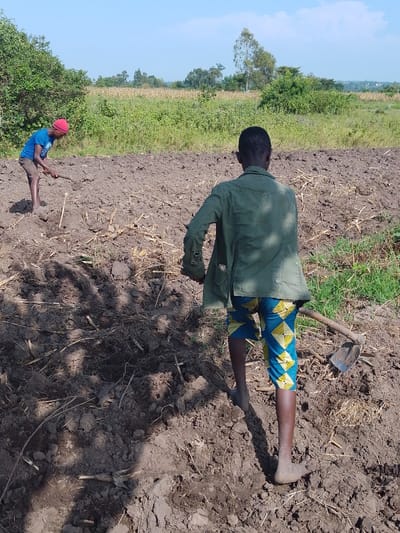 Two figures labor in a tilled field under a bright sky. One, wearing a red cap and blue shirt, digs into the dark soil. The other, seen from the back, wears a green jacket and patterned blue shorts, and carries a hoe. The field stretches into the distance, bordered by patches of green foliage. The foreground soil is dark, revealing remnants of prior crop stalks.