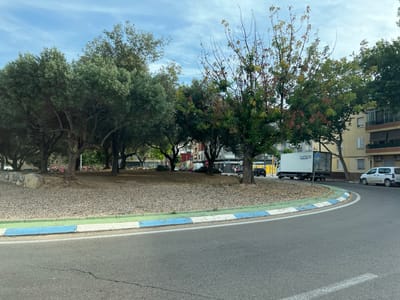 This image depicts a sunlit street scene, likely in Massanassa, Spain. The top of the frame is dominated by a paved road, which appears to curve. A distinctive curb separates the road from a gravel-covered median, featuring painted stripes in white, blue, and green.
Several vehicles are visible on or alongside the road. On the left, a white van is parked near a building. In the center, a large white box truck is prominent, bearing the English text "YOURTRUCKS" on its side, along with a blue arrow sign pointing left. Further to the right, parts of a yellow truck or bus and another dark vehicle are visible.
The lower portion of the image is filled with lush foliage from numerous trees, some with broad green leaves, while others show hints of reddish-brown leaves or berries. These trees are situated in the median and along the roadside, partially obscuring the buildings behind them. The buildings, which appear to be multi-story residential structures with balconies, are visible through and above the tree canopy. The sky, seen through gaps in the foliage and along the bottom edge, is bright with scattered clouds, indicating clear daytime weather. No specific human activity or event is depicted, suggesting a typical day on the street.