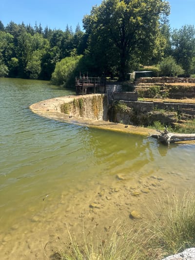 This image shows a reservoir and spillway in Coteaux du Lizon, France. The water is a murky green, with visible rocks and sediment on the bottom near the edge. A curved concrete spillway forms the foreground, with a small waterfall cascading down its face. To the right of the spillway, a dead tree trunk lies partially submerged in the water.
Behind the spillway is a metal structure that appears to be a gate or dam control mechanism. Further back, the terrain slopes upwards, covered with stone terraces and vegetation. In the distance, a dense forest of deciduous trees and evergreens borders the reservoir under a clear blue sky. No people are visible in the image.