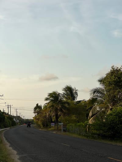 A road in Placencia, Belize, is flanked by lush vegetation and palm trees on the right. Power lines run along the roadside, supported by utility poles. A person is riding a motorcycle in the distance. A sign is visible near the trees. The sky is overcast.