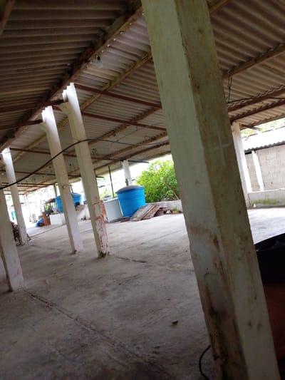 The image depicts an outdoor covered area with a corrugated metal roof supported by concrete pillars. The ground is concrete. In the background, there are two large blue water tanks and some miscellaneous objects, including what appears to be a washing machine. A wall made of cinder blocks is visible on the right side of the frame. Vegetation is present behind the structures. The scene is illuminated by natural light. The location is identified as Atamo Sur, Venezuela. There are no people or discernible actions or interactions within the image.