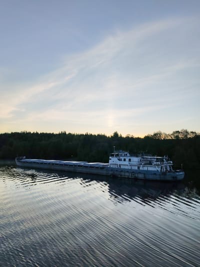 The image captures a long, flat-bottomed cargo barge traversing a tranquil waterway, likely during either dawn or dusk. The vessel, painted in white and grey, features a multi-deck cabin structure positioned towards its stern. Along its considerable length, several rectangular hatches, presumably covering cargo holds, are visible, some appearing to be covered. The water beneath and around the barge displays distinct, elongated ripples, suggesting a gentle current, the vessel's slow movement, or a light breeze.
The far bank of the river or canal is densely covered by a dark, lush forest, silhouetted against the horizon. The sky above transitions from a pale blue at the top to soft yellow and light grey hues near the horizon, indicative of the low sun. Wispy, thin clouds are scattered across the sky. The overall lighting is soft and diffused, contributing to a tranquil and peaceful atmosphere. No people are visible in the image.
Visible text on the stern of the barge reads "МИХАИЛ ПАВЛОВ" (MIKHAIL PAVLOV), and the code "МР 712" is seen on the side of the cabin. This scene is located in Volokov Most, Russia.