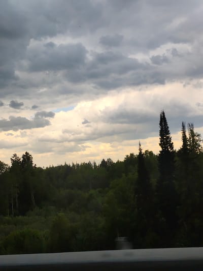 The image depicts a landscape with a dense forest under a cloudy sky. The trees are primarily green, with some darker evergreen varieties visible on the right side of the frame. The sky is overcast with grey and white clouds, suggesting an overcast day. The lower portion of the image includes a horizontal structure, possibly a road barrier or part of a vehicle's interior. The image appears to be taken from an elevated position, potentially from a moving car or a building. There are no people visible in the image. Considering the specified location of Chusovskoye Urban Settlement, Russia, this scene likely captures the natural surroundings near the urban area, characterized by dense forests common in the region.