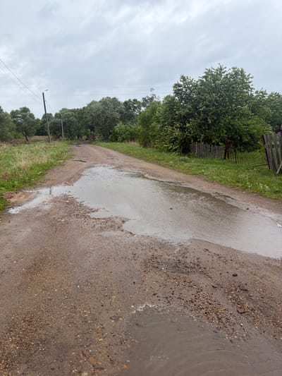 This image captures a static, rural scene in Valdgeym, Russia, likely after a recent rainfall. The primary subject is an unpaved road, a mix of dirt, sand, and gravel, which dominates the foreground and midground. Large, irregular puddles of water are scattered across the road surface, reflecting the overcast sky and showing subtle ripples.

To the left of the road, a strip of vibrant green grass runs alongside, bordered by lush green trees and shrubs. Partially visible within this greenery is a rustic, possibly weathered, wooden fence, with sections appearing broken or aged. A distinctive metal gate with a fan-like design is also noticeable behind the fence among the vegetation.

To the right, the road is also flanked by green grass and a line of dense green trees, some appearing to have light-colored blossoms or new leaves. In the background, against the cloudy sky, at least two wooden utility poles with multiple overhead power lines are visible, extending into the distance.

The sky is uniformly overcast with light grey clouds, indicating a cloudy day, consistent with the wet ground and puddles. There are no people or specific activities taking place, creating a quiet, serene atmosphere of a countryside track. No visible text is present in the image.