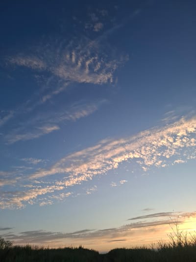 The image shows a wide-angle shot of a sky at dusk, with a sliver of land in the foreground. The sky is a gradient of deep blue at the top, transitioning to lighter blues and oranges near the horizon. Wispy clouds are scattered throughout, some tinged with pink and orange from the setting sun. A faint crescent moon is visible in the upper left quadrant of the sky. The foreground consists of a dark silhouette of grassy vegetation, suggesting a natural, possibly rural, landscape. The overall impression is one of a peaceful evening sky. The location is identified as the city of Krasnaya Skala, Russia.