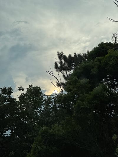 The image shows a low-angle view looking up through trees at a cloudy sky. The trees are dense and dark green, with some branches silhouetted against the sky. The sun is partially visible through the clouds, creating a soft glow. There are no people or objects visible, and the scene appears to be a natural outdoor setting. The time of day is likely daytime, given the sunlight, but the clouds suggest it may be overcast or nearing sunset. The location is specified as Brashlen, Bulgaria. There is no visible text in the image. The overall mood is serene and natural, with a hint of atmospheric light.
