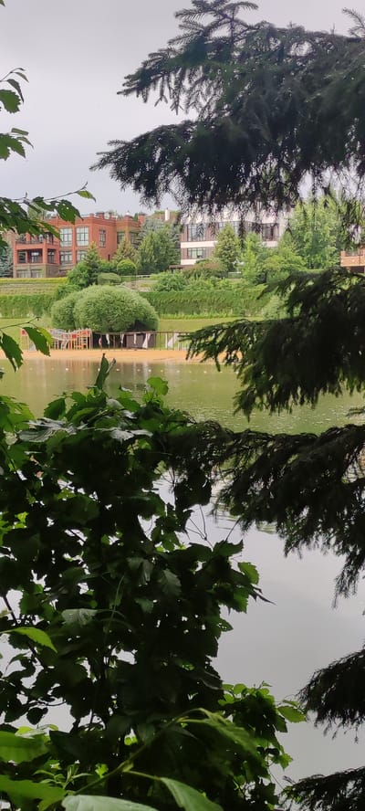 The image shows a view of the city of Angelovo, Russia, with a lake in the foreground and buildings in the background. There are trees in the foreground, including a large fir tree that obscures part of the view. The lake is calm and reflects the overcast sky. On the far shore of the lake, there is a sandy beach with some beach chairs and umbrellas. Behind the beach, there are several buildings, including a large red brick building and a modern white building with large windows. The landscape is green and lush, with many trees and bushes. The overall impression is one of a peaceful and serene environment.