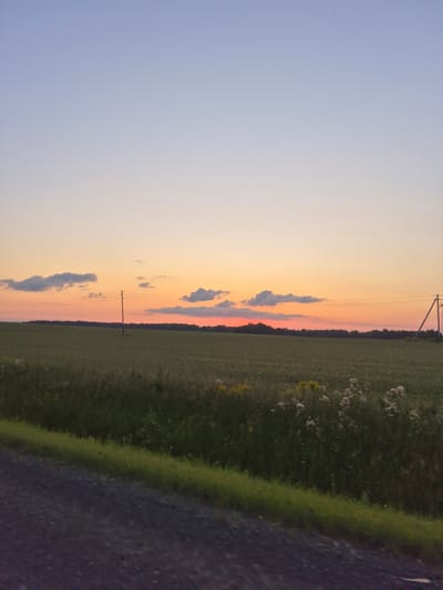An evening scene unfolds in Bashur, Russia, featuring a vast agricultural field under a gradient sky of pale blue and warm orange hues. The sun is setting, casting a soft glow across the landscape. A dirt road runs along the left foreground, bordered by a strip of green grass and wild flowers. The field itself is a tapestry of green, with scattered yellow and white wildflowers adding touches of color. In the middle ground, a lone wooden utility pole with wires stretches across the frame, a testament to the rural setting. A dense line of trees forms the horizon, silhouetted against the colorful sky. A few scattered clouds drift lazily, adding texture to the atmospheric sky. The overall impression is one of tranquility and natural beauty.