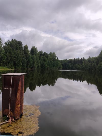The image depicts a tranquil scene by a body of water, likely a lake, bordered by a dense forest of green trees. The sky is overcast with clouds, creating a diffused light. In the foreground, a rusty metal structure, resembling a post or a small enclosure, stands partially submerged in the water. Some aquatic vegetation, a mass of yellowish-green algae, is visible around the base of the metal object. The water surface is calm, reflecting the trees and the sky, contributing to the serene atmosphere. The location is identified as Советско-Никольское, Russia.