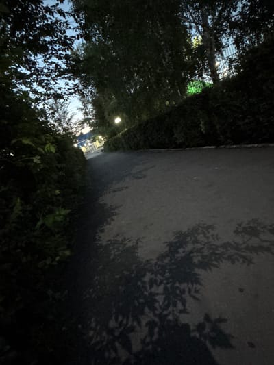 The image depicts a nighttime scene outdoors, possibly in Qarabalıq, Kazakhstan. The foreground is dominated by dark foliage, suggesting a wooded area or a park. To the right of the image, a paved surface, likely a sidewalk or road, is visible, with the shadows of leaves cast upon it from overhead trees. The lighting suggests artificial light sources, possibly streetlights or lights from nearby buildings, creating distinct patterns of light and shadow.
In the background, a glimpse of buildings can be seen, illuminated by artificial lights, hinting at an urban or suburban setting adjacent to the natural elements. The sky, visible through the canopy of leaves, appears dark, consistent with nighttime. One prominent streetlight is visible in the upper left quadrant of the image, casting a warm glow. The overall mood is quiet and serene, typical of a peaceful evening. There is no visible text in the image.