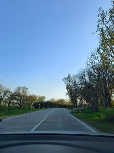 The image shows a road in Zdravets, Bulgaria, from the perspective of a driver in a car. The road is asphalt with a white centerline, curving slightly ahead. Trees line both sides of the road, with some just starting to bud green leaves. The sky is clear and blue. A powerline is visible in the upper left. The dashboard of the car is visible at the bottom of the frame. A small bridge and a stop sign are seen by the side of the road.