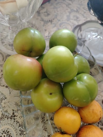 A close-up, eye-level shot captures a clear glass dish filled with green and yellow fruits. The dish is placed on a patterned tablecloth, possibly lace, with a floral design in muted tones. In the background, out of focus, a white, soft object, possibly fabric or paper, is visible, as well as what appears to be the top of another glass container. The fruits themselves are round and smooth-skinned. The dominant color is a vibrant green, with some fruits exhibiting a blush of pink or red. There are also several smaller, oval-shaped fruits that are a bright yellow-orange. The lighting is soft, casting gentle reflections on the fruits and glass. No people or animals are present. The scene does not provide any specific visual cues that would allow for a precise location within the city of Shaki, Azerbaijan.