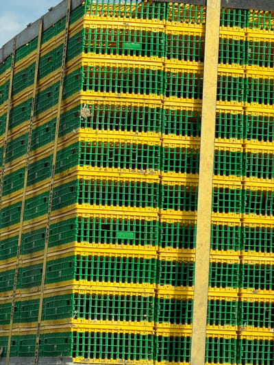 Stacked green and yellow plastic crates, secured by two wide yellow straps, form a grid-like pattern. The crates are uniformly constructed with square openings, creating a repeating geometric design. The bottom crates have black straps running along the yellow dividers. The photograph's upward angle reveals a small patch of blue sky.
