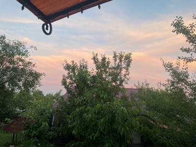 The image captures a serene evening sky over a rural landscape in Ardon, Russia. The sky displays a soft gradient of colors, with pale blues transitioning into delicate pinks and oranges, suggesting the twilight hours of sunset. Wispy clouds stretch across the expanse, catching the last rays of the sun.
In the foreground, lush green trees with dense foliage dominate the scene, their leaves creating a textured canopy. Some of the trees appear to be fruit trees, with slender branches laden with leaves. Peeking through the trees are glimpses of rooftops, one with a reddish-brown corrugated metal covering and another with a pale pinkish-purple hue. These structures suggest a residential area, likely a village or a collection of houses in a semi-rural setting.
A section of a rustic, corrugated metal awning is visible at the top of the frame, with a decorative wrought-iron spiral accent hanging from its edge. The overall impression is one of tranquility and peacefulness, evoking a sense of a quiet evening in the countryside. The scene is likely devoid of any human activity at this moment, emphasizing the natural beauty of the setting. No visible text is present in the image.