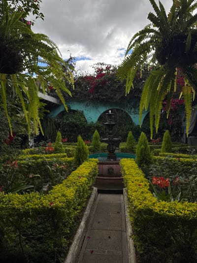 An ornamental garden features a stone pathway flanked by neatly trimmed hedges with small, vibrant flowers. A tiered fountain anchors the center, backed by an archway covered in foliage and vibrant red flowers. Ferns hang overhead, framing a view of a cloudy sky. The composition is verdant and symmetrical, suggesting a formal yet lush garden design.