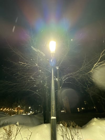 A street lamp illuminates a snowy winter night, casting a bright glow around bare tree branches coated in snow. A dark building with lit windows is visible in the background, partially obscured by the snow-covered branches. Deep snowdrifts border the scene.