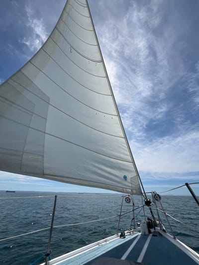 The image shows a view from the bow of a sailboat, looking towards the horizon. The large white sail is billowing in the wind, with a blue sky and white clouds above. The water is a dark blue and rippling. The sailboat is equipped with a white outboard motor and a blue railing.  Two other boats are visible in the distance, with a coastline on the horizon. The coordinates provided (latitude: 24.226, longitude: -110.326) are located in the Gulf of California, near the city of La Paz, Mexico.