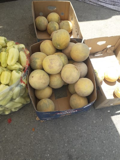 The image depicts an outdoor market scene, likely in Ghafurov, Tajikistan, showcasing fresh produce under bright daylight. The main subjects are numerous round melons, appearing to be cantaloupes or similar varieties, characterized by their light yellow to greenish-yellow rinds, some with visible netting.

These melons are primarily displayed within two cardboard boxes placed directly on a gray asphalt or concrete ground. The larger, central box is brimming with melons. Its blue side panel shows partial text, including "Viana" and "PRODUCE OF...", along with a faint logo. To its immediate left, a smaller, brown cardboard box also contains several melons. Another partially visible cardboard box at the top left of the frame displays the word "Ecuador" and a logo, suggesting the potential origin of some of the fruit.

Below the melon boxes, a clear plastic bag filled with a large quantity of light green or yellow bell peppers is visible. Text, possibly "SHIVAK" in Cyrillic script, can be seen on the bag. The scene is brightly illuminated, with strong shadows cast on the ground and within the boxes, indicating a sunny day. A piece of gray and white patterned fabric is partially visible on the far left. No people are present, but the arrangement clearly indicates a market stall or roadside vendor setting for selling fresh produce.