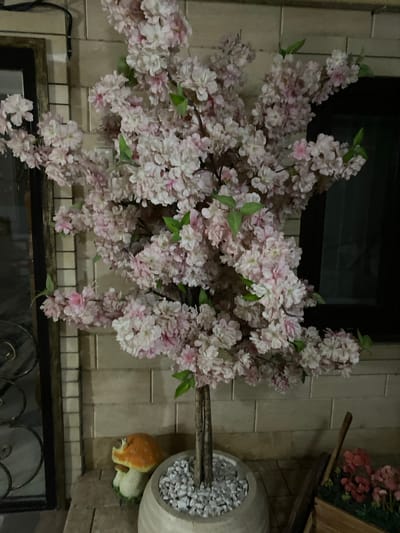 The image shows a decorative artificial cherry blossom tree with pink and white flowers, situated in a large pot filled with white pebbles. The tree is positioned outdoors, against a textured beige brick wall. To the left of the tree is a black metal gate with decorative swirling patterns. In front of the tree, on the ground, is a small decorative mushroom statue with an orange cap and a white stem. To the right of the tree, a wooden planter box contains artificial pink flowers and greenery. The overall scene suggests an outdoor decorative arrangement, possibly in a courtyard or near an entrance. The city of Khasavyurt, Russia, is not discernible from the image itself.