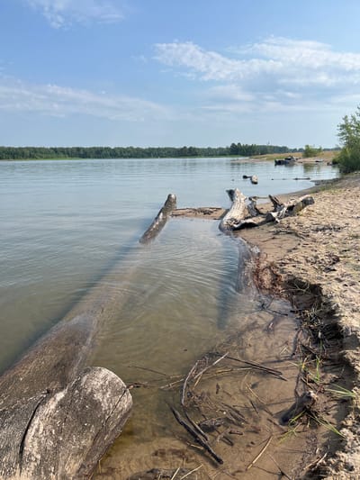This image depicts a sandy beach on the shore of a body of water, with a dense line of green trees forming the horizon. Several pieces of driftwood are scattered across the sand and in the shallow water. In the distance, a few boats are visible near the shore. The sky is blue with scattered white clouds. The scene is set in Beregovoe, Russia.