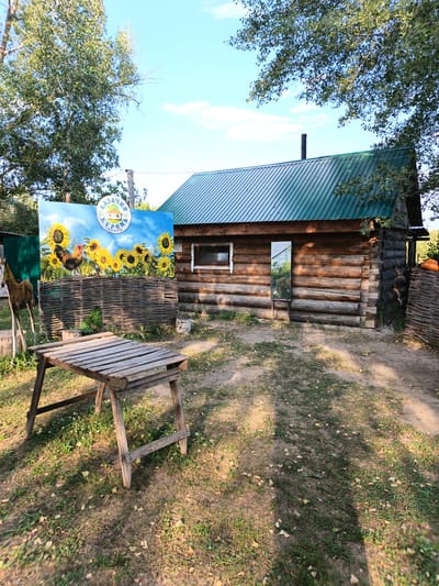 This is an outdoor photograph taken in a rural setting, likely in the village of Grigoryevka, Russia, during daylight hours. The scene features a rustic wooden cabin with a green metal roof. In front of the cabin, there is a large, colorful banner depicting sunflowers, a rooster, and text in Cyrillic. A woven fence is positioned in front of the banner, and a wooden picnic table stands in the foreground. To the left of the banner, a wooden cutout of a horse is visible. The ground is covered in dry grass and scattered leaves, suggesting it might be autumn. The sky is blue with some scattered clouds. A mirror is leaning against the side of the cabin, reflecting a portion of the surroundings. The overall impression is one of a rural, perhaps recreational, area.