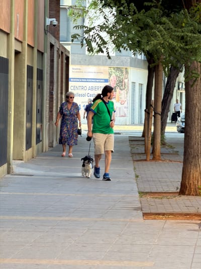 This image captures a street scene in Castelló de la Plana, Spain, specifically on a sidewalk in front of a building with a patterned facade. On the left, an elderly woman with gray hair and sunglasses is walking, wearing a long, blue floral print dress and pink sandals. She is carrying a black handbag and is accompanied by a small, white and black shaggy dog on a leash. To her right, a man with dark hair, wearing a green t-shirt with yellow and blue accents, khaki shorts, and blue sneakers, is walking a different small dog, also white and black with a shaggy coat, which is in front of him on a leash. The man is looking to his left, away from the camera. In the background, a billboard is visible with Spanish text, including "RESIDENCIA PARA PERSONAS MAYORES" (Residence for Elderly People) and "CENTRO ABIERTO" (Open Center). Further in the background, to the right, another man is visible walking with a black rolling suitcase, and a silver car is parked. The environment includes trees with green foliage casting shadows on the paved sidewalk.
