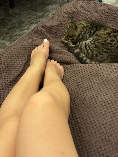 The media file displays an overhead view of a person's legs and feet resting on a brown, textured blanket. A tabby cat is curled up asleep on the left side of the blanket, partially hidden by the person's legs. The person's toenails are painted a light, pale blue color. The background to the left of the blanket shows a dark, patterned floor. The scene appears to be indoors, possibly a living room or bedroom, with soft lighting suggesting a relaxed atmosphere. No text is visible in the image. The location context is Nogir, Russia.