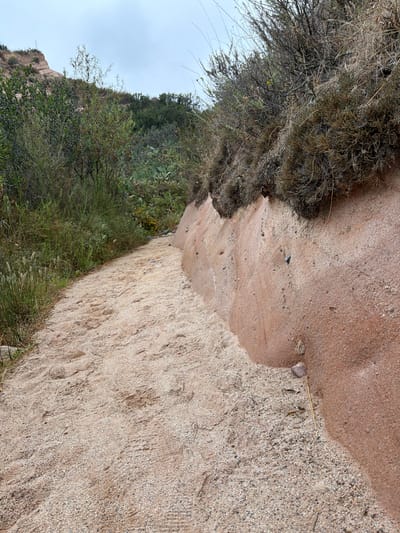 This media file depicts a sandy trail winding through a natural landscape, likely in Lake Forest, USA. The trail itself is the primary subject, composed of light-colored sand with visible footprints and some small pebbles. The trail is bordered on one side by dense, dry scrub brush and on the other by a steep embankment of sand and rock, covered with more vegetation. In the background, rolling hills and a cloudy sky are visible, suggesting an overcast day. The scene conveys a sense of a wilderness trail, possibly in a dry or arid climate. No people or specific objects are discernible, nor is any text. The overall impression is one of a natural, undeveloped outdoor environment.