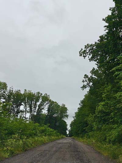 The image shows a dirt road with gravel and patches of mud, leading through a dense forest on a cloudy day. The road is flanked by thick green foliage and tall trees on both sides, creating a tunnel-like effect. The sky is overcast with a light gray color, suggesting a possibility of rain. The trees on the right appear to be larger and denser than those on the left. The overall scene depicts a natural, unpaved pathway within a woodland environment.