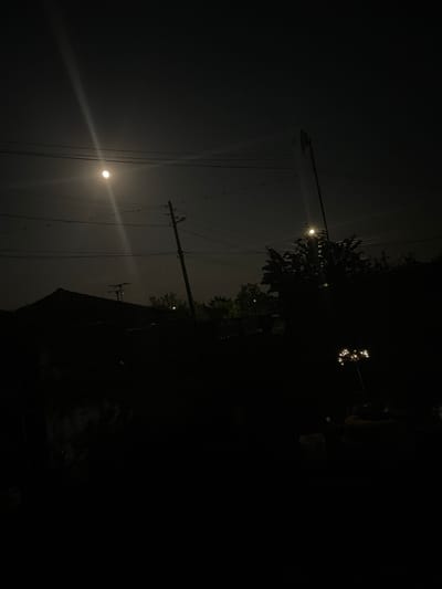 The image depicts a nighttime scene with a bright full moon illuminating the sky. A faint light beam extends from the moon downwards, creating a hazy glow. Multiple power lines crisscross the frame, supported by utility poles. In the foreground, the silhouette of a building with a sloped roof is visible on the left. To the right, dark foliage of trees obscures parts of the background. A tall, thin pole with a cluster of small, bright lights at its top stands in the lower right quadrant of the image. The overall ambiance is dark and atmospheric, characteristic of a night in a residential area. This scene is likely located in the city of Vedrare, Bulgaria, given the context.
