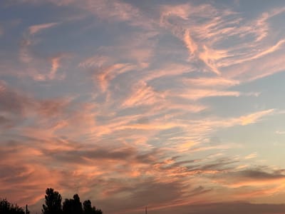 This is a photograph of a sunset sky over Дачное, Kyrgyzstan. The sky is filled with wispy, elongated clouds painted in hues of pink, orange, and soft blue, indicating the sun is low on the horizon. The clouds are illuminated from below, creating a dramatic and colorful display. In the foreground, silhouetted against the vibrant sky, are the dark shapes of trees and what appears to be a utility pole or antenna. The overall impression is one of a serene, natural landscape at dusk.