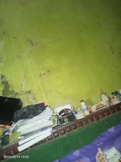 This image, captured on 2025/09/19 at 14:53, depicts an indoor scene in Ciputri, Indonesia, characterized by a lime green wall exhibiting significant discoloration, stains, and peeling in the upper left and lower left quadrants. The upper portion of the wall is mostly clear, while the lower half presents a collection of items on a wooden shelf and adjacent surfaces.
On the left, a stack of white books and papers is prominent, with a black plastic bag resting atop the stack. Behind these items, a dark, rectangular object, possibly a case or bag, is partially visible.
To the right of the stacked items, a dark brown wooden shelf with decorative carved accents along its front edge holds various objects. These include several bottles of varying sizes and contents, one yellow bottle clearly labeled "Bedak Salicyl CHELSEA." Also present on the shelf are a light-colored ceramic bowl with a patterned exterior and a dark container, possibly a pen holder, bearing the partial inscription "T CREPPEY." Other smaller, unidentifiable items are interspersed among these objects.
In the bottom right corner of the frame, a hand with fingers and a thumb visible rests on a purple fabric surface adorned with white heart and cat patterns, likely a bedsheet or blanket. No overt actions or interactions are depicted beyond the static arrangement of objects and the implied human presence.