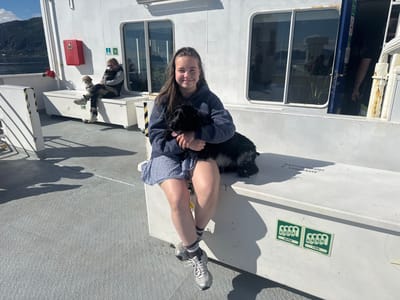 A young girl with long brown hair, wearing a navy hoodie, a blue and white checkered skirt, and silver sneakers with striped socks, sits on a white bench on the deck of a ferry. She is holding a black dog with long fur. The girl is smiling at the camera. Behind her, a person wearing sunglasses and a gray and black jacket sits with a small light-colored dog on their lap. The ferry deck is gray and there are windows and a white railing in the background. The scene is set outdoors with a body of water and a hilly, treed landscape visible in the distance. The sun is shining brightly, casting shadows on the deck, indicating it is daytime. There are signs on the bench that say "Redningsvester _Lifejackets" and two green stickers with pictograms of life jackets and numbers "24 PCS" and "7 PCS". A red fire extinguisher box is mounted on the white wall of the ferry. The location is Lødingen, Norway.