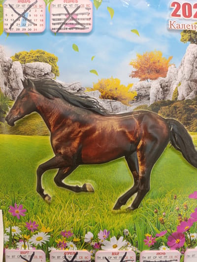 This is a calendar page featuring a dark brown horse in motion against a background of rocky cliffs and trees with autumn foliage. The scene is set in a grassy field with wildflowers in the foreground. The calendar itself is designed to be a decorative wall calendar for the year 2023, as indicated by the prominent "2023" text. It includes monthly calendar grids for January through June, with days of the week abbreviated in Russian: ПН (Monday), ВТ (Tuesday), СР (Wednesday), ЧТ (Thursday), ПТ (Friday), СБ (Saturday), and ВС (Sunday). Some days in January and February have been crossed out. The text "Кален" is also visible, likely a partial word for "calendar". The overall impression is a vibrant and festive depiction of nature and animals, suitable for a calendar. The location context provided indicates this calendar page is from Novoanninskiy, Russia.